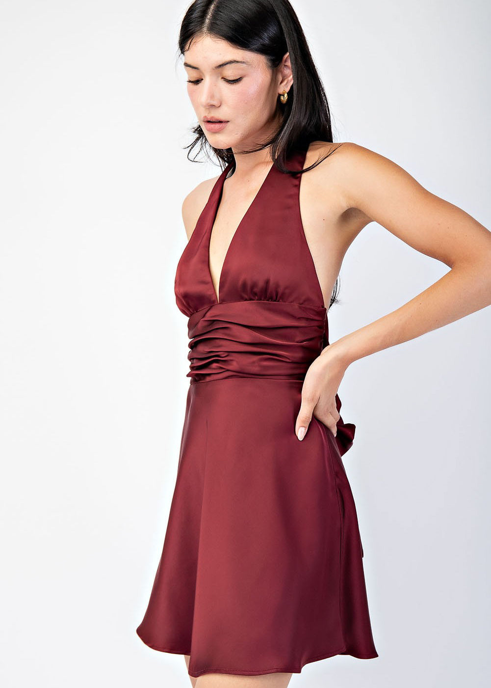 Anna Burgundy Dress